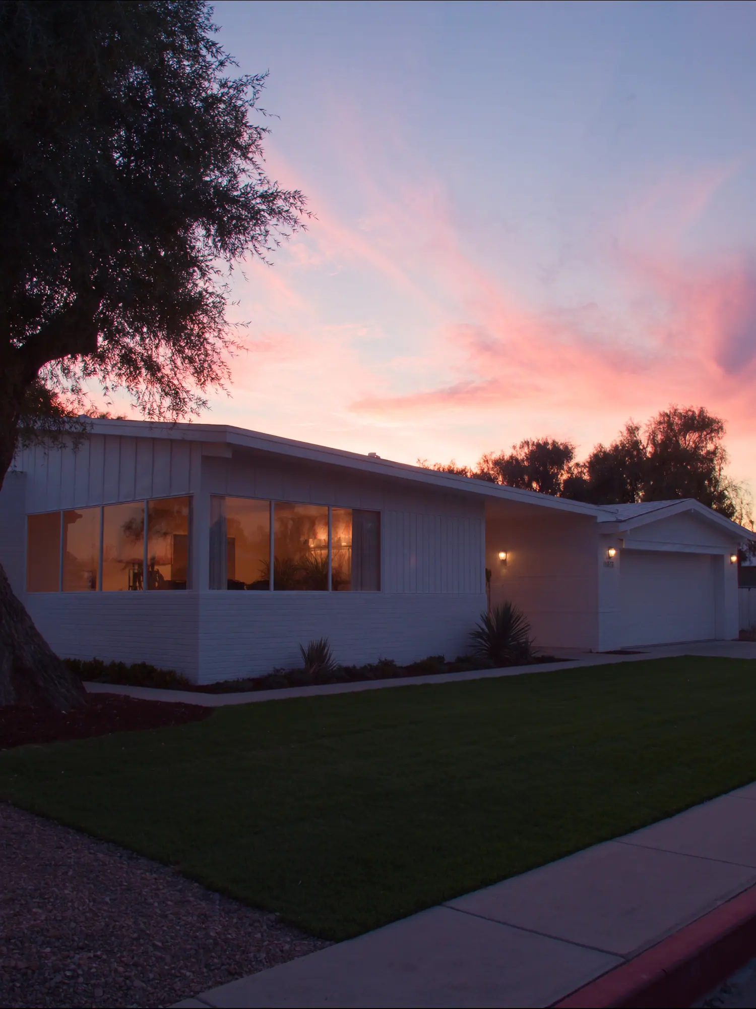 A Phoenix midcentury ranch at dusk, lights on inside, olive tree over the lawn.